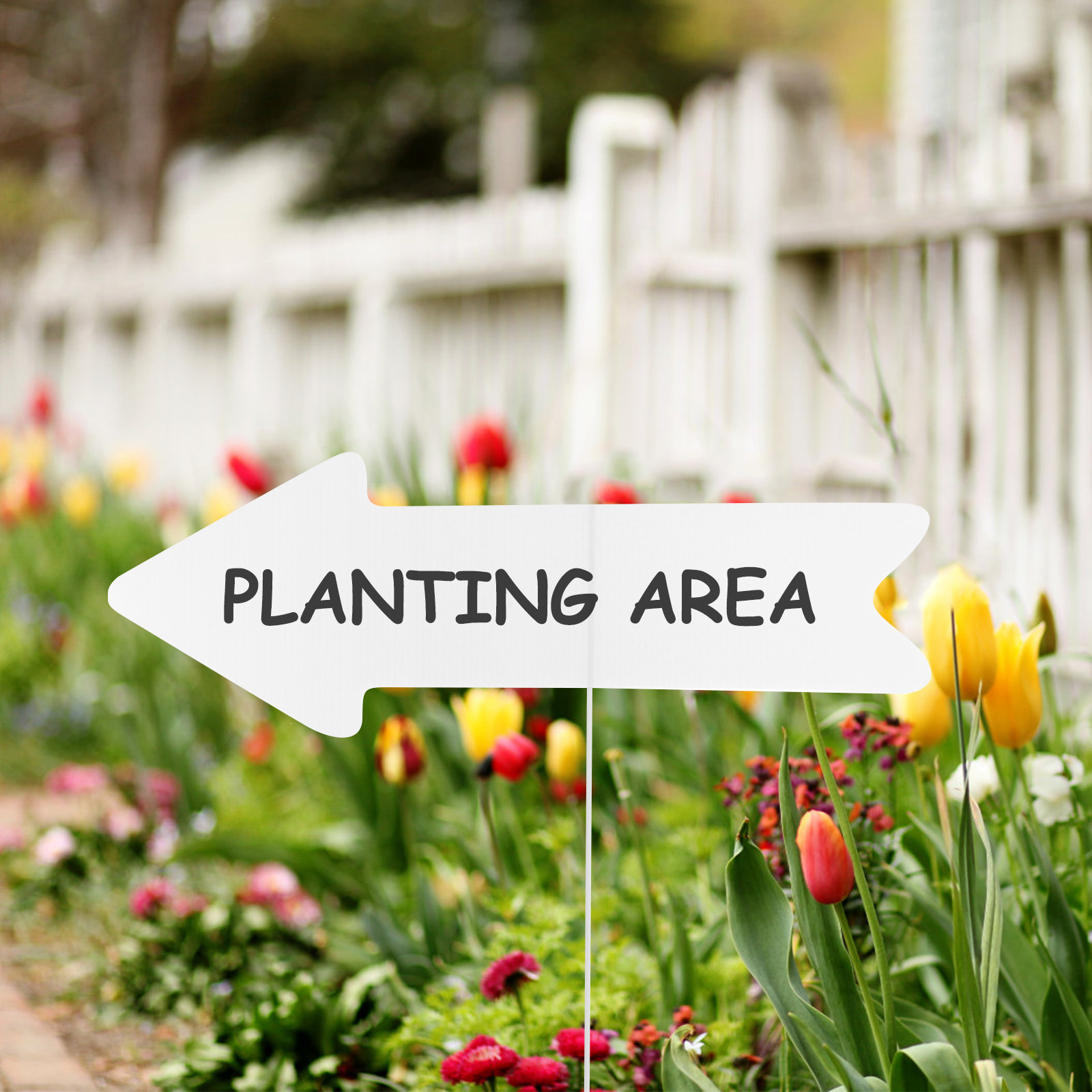 5 قطع من لوحات الإعلانات البلا - مراجعة Yard Sign Blank وسعره